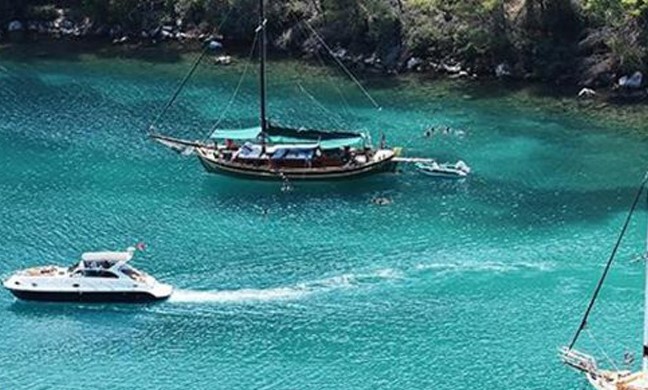 Torba Transfer